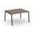 Вяз благородный/Черный