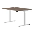 Дуб верцаска MS