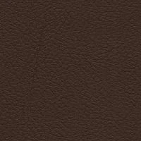 CONSUL-Chocolate-7005-Y80R